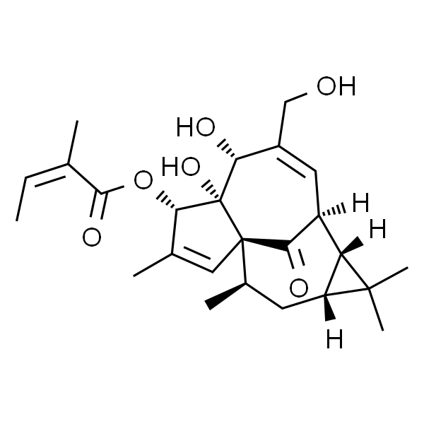 巨大戟醇甲基丁烯酸酯