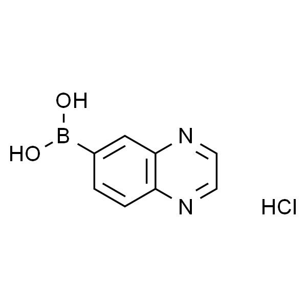 苯并吡嗪-6-硼酸盐酸盐