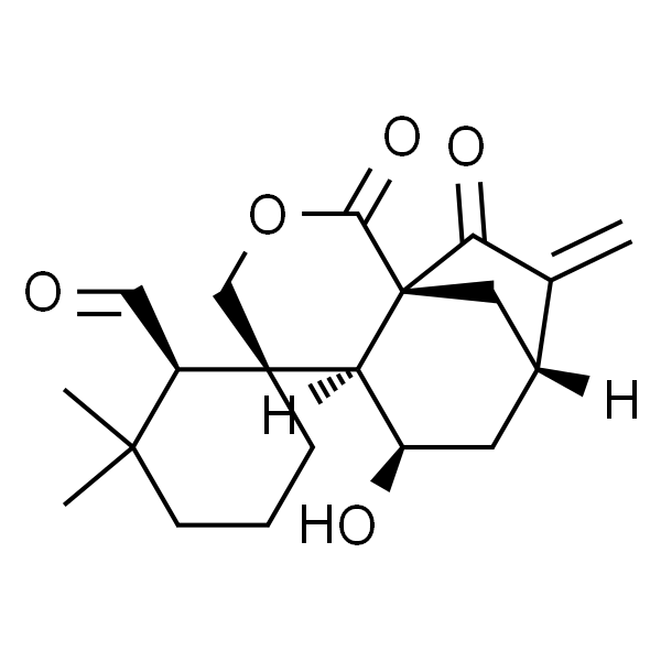 毛果香茶菜醛 A