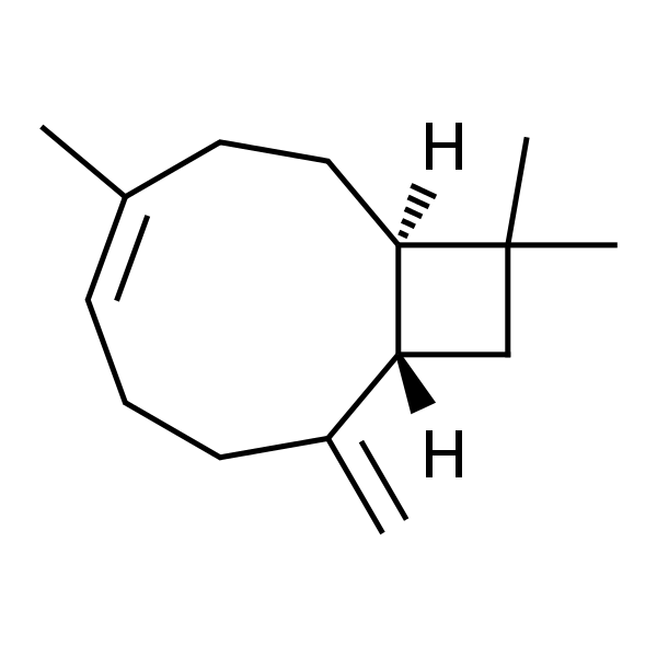 β-丁香烯