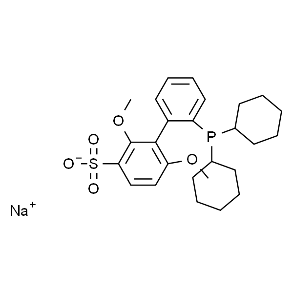 2'-二环己基-2,6-二甲氧基-3-磺酸- 1,1'-联苯水合物钠盐