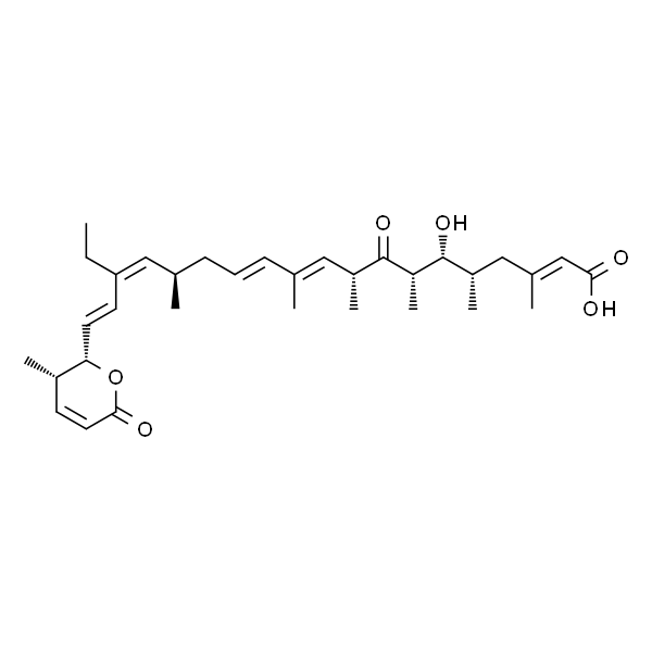 来普霉素B(出核转运抑制剂 0.2mg/ml)