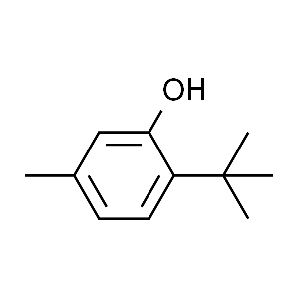 6-叔丁基间甲酚