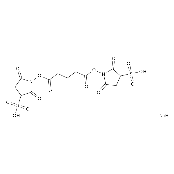 戊二酸双(3-磺酸基-N-琥珀酰亚胺)酯二钠盐