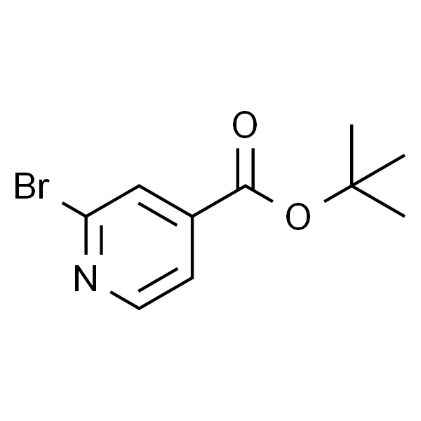 2-溴异烟酸叔丁酯