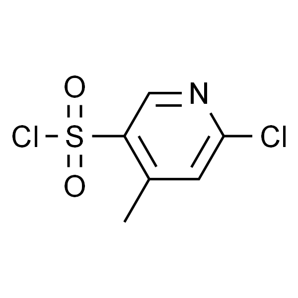 6-氯-4-甲基吡啶-3-磺酰氯