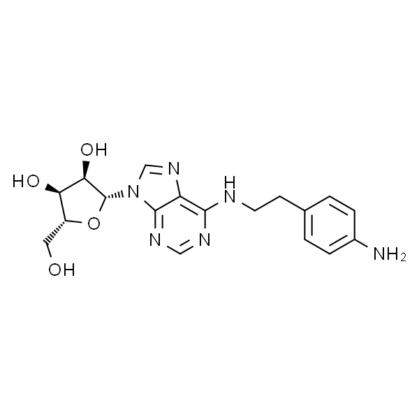 N6-[2-(4-氨基苯基)乙基]腺嘌呤