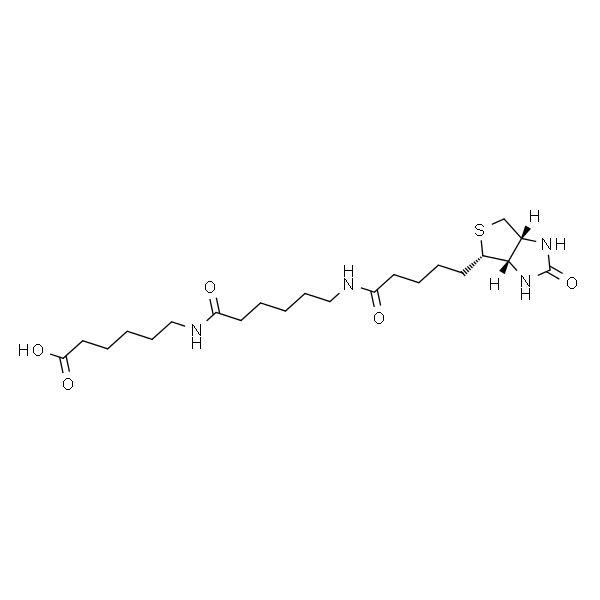 6-((6-((生物素基)氨基)己酰基)氨基)己酸