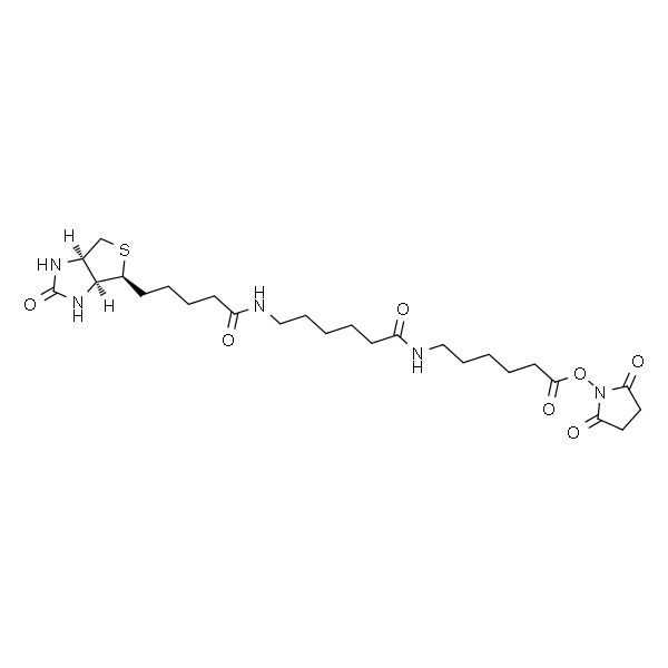 生物素-LC-LC-NHS