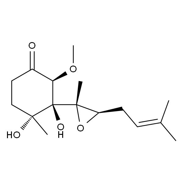 卵清蛋白