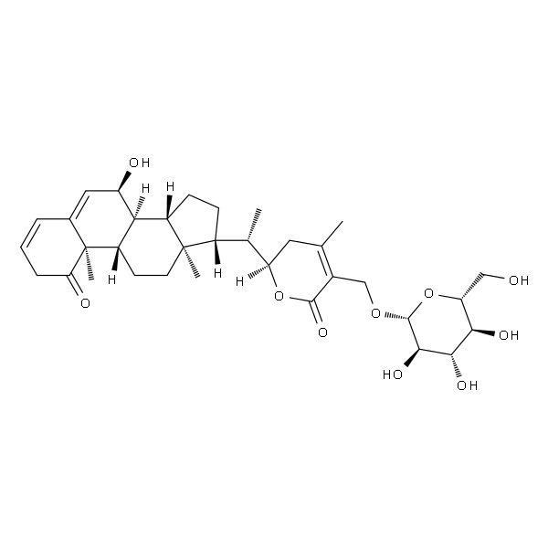 白曼陀罗素