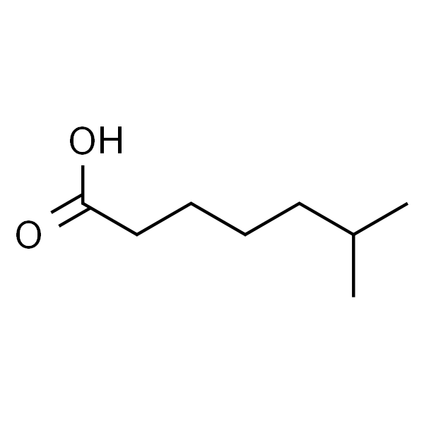 6-甲基庚酸