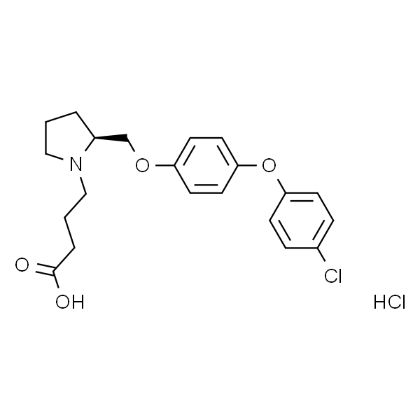 DG 051 (HCl salt)