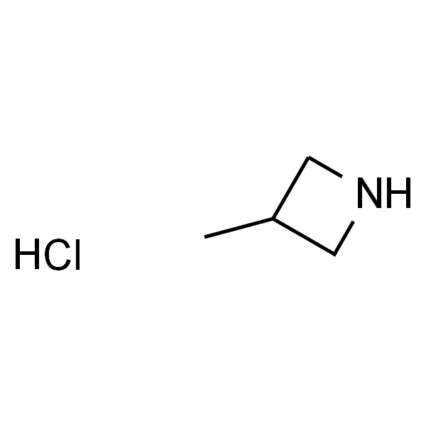 3-甲基氮杂环丁烷 盐酸盐