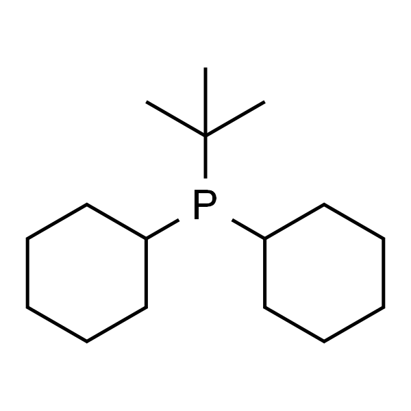 叔丁基二环己基膦