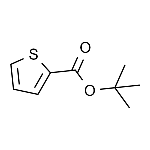 噻吩-2-羧酸叔丁酯