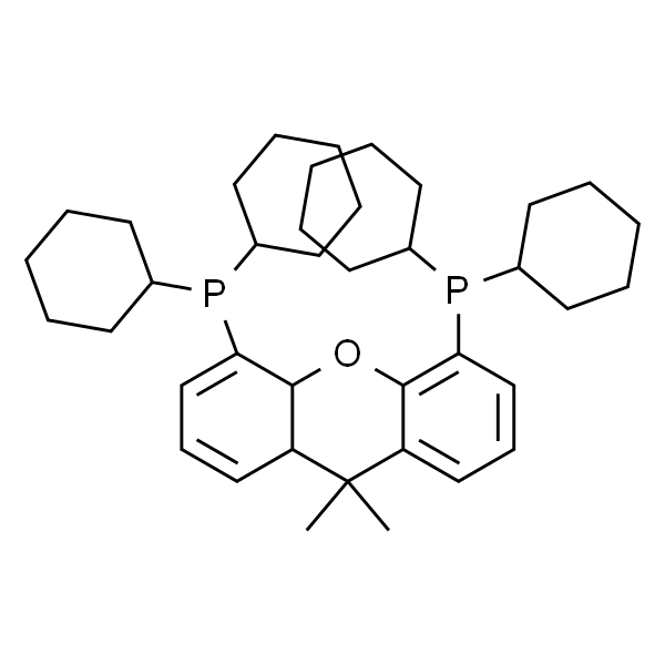 4,5-双(二环己基膦)-二苯并吡喃衍生物