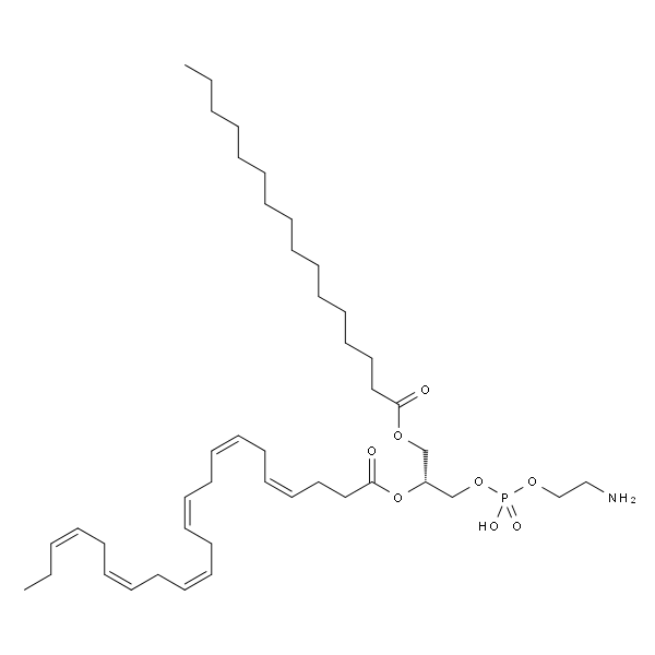 1-Palmitoyl-2-Docosahexenoyl-sn-Glycero-3-Phosphatidylethanolamine