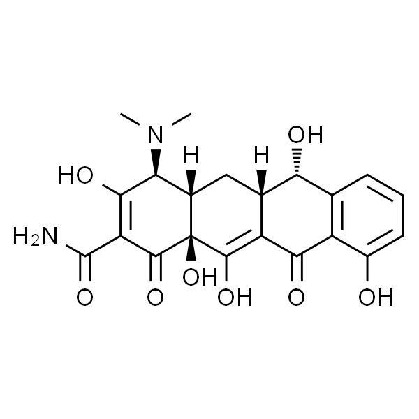 去甲四环素（> 90％）