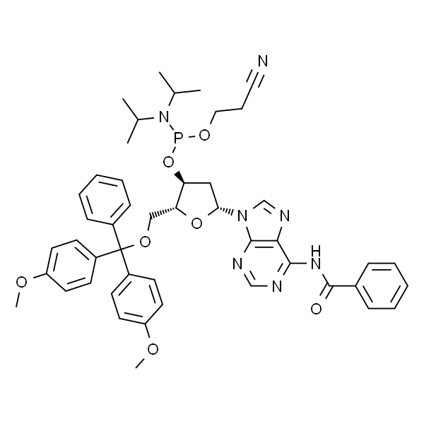 5'-O-(4,4'-二甲氧基三苯基)-N6-苯甲酰基-2'-脱氧腺苷-3'-(2-氰乙基-N,N-二异丙基)亚磷酰胺